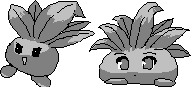 chat_20190617_134145_aspirin