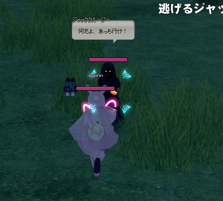 追いかける