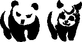 chat_20190618_141814_aspirin