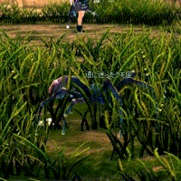 蜘蛛の糸の生産