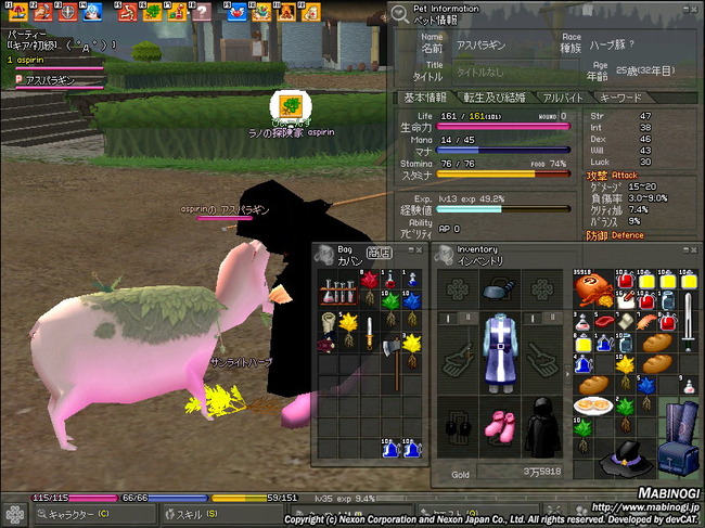 mabinogi_2006_09_15_021