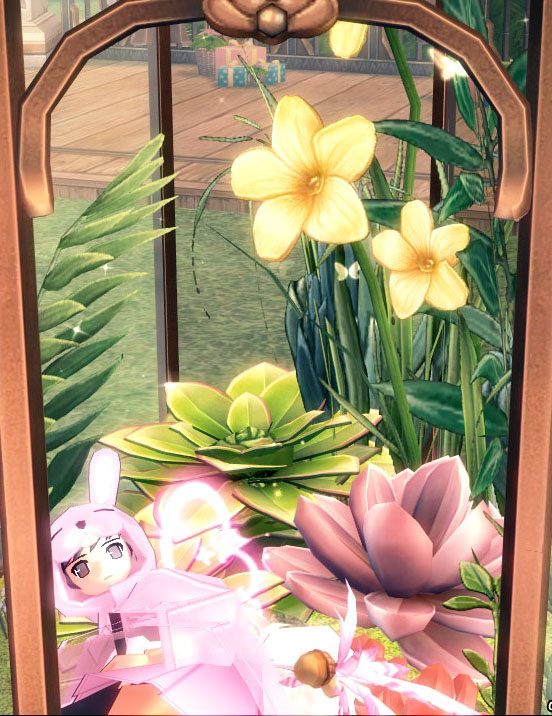 クソデカ多肉植物