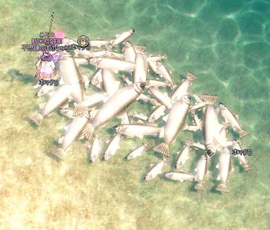魚