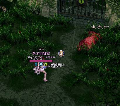 幼い赤ヒグマ
