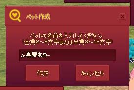 ペット作成