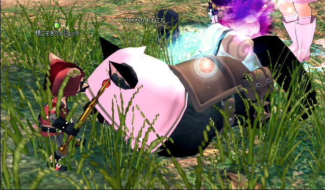 猫そぎクレジェック