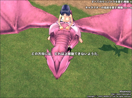 この方向には、これ以上移動できないようだ。