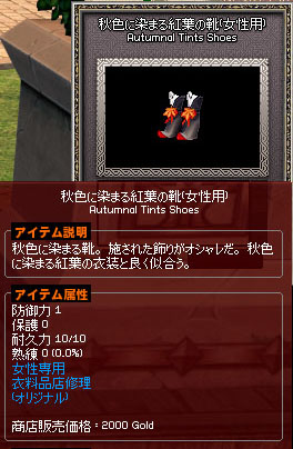 秋色に染まる紅葉の靴