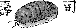 chat_20260301_165101_aspirin