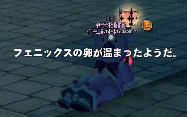 フェニックスの卵が温まったようだ。