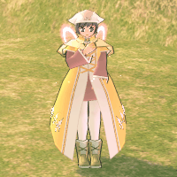 エリネドの錬金術師のスーツ