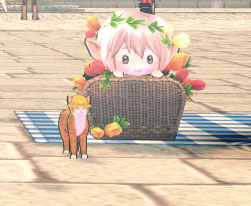 小さいw