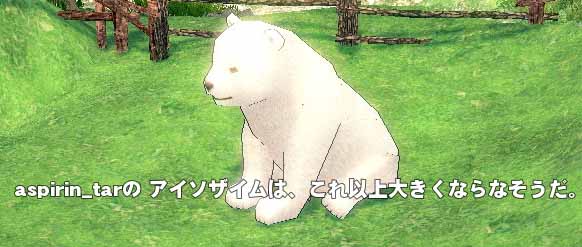 北極クマ