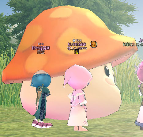 メイプルキノコ