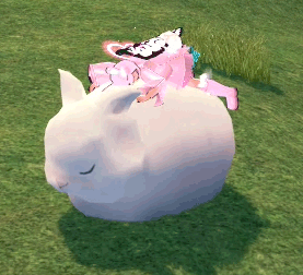 よく見えます