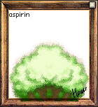 木ｗｗｗｗｗｗｗｗｗｗｗｗ