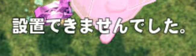 しいたけがありませんでした