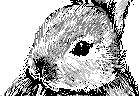 chat_20120717_175612_aspirin