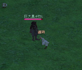 卵を採集できないペット