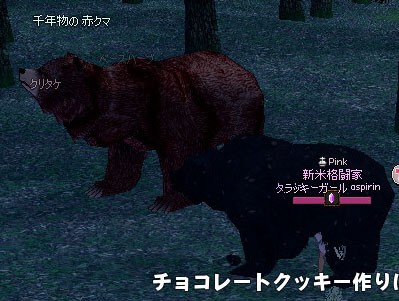 千年物の赤クマ