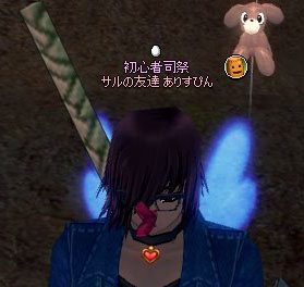 初心者じゃないのか…