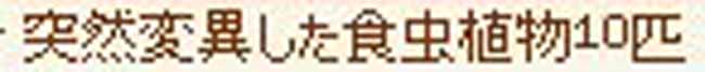 匹