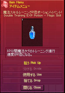 魔法スキルレーニング2倍ポーション