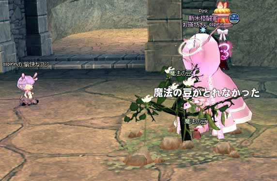 魔法の豆がとれなかった
