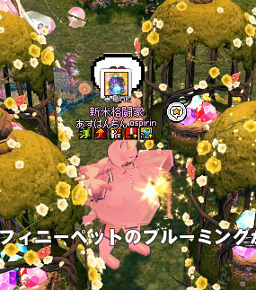 詰めが甘かった