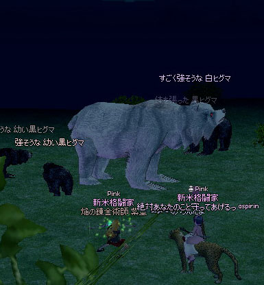 すごく強そうな 白ヒグマ