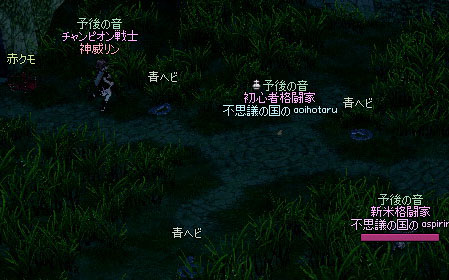 青ヘビ3匹