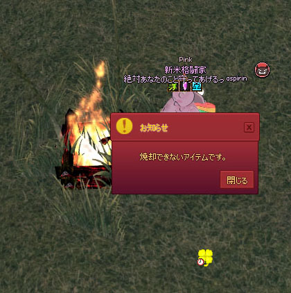 焼却できないアイテムです。