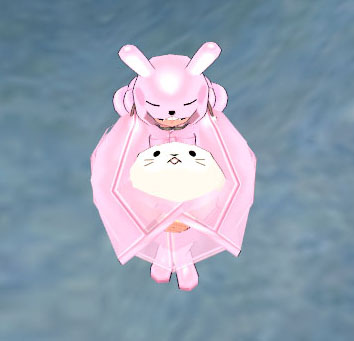 アザラシw