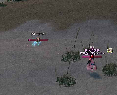 ブルーゴースト