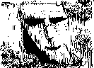 chat_20190617_132923_aspirin
