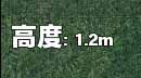 2m