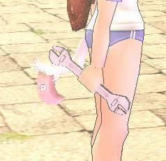 ワンド…