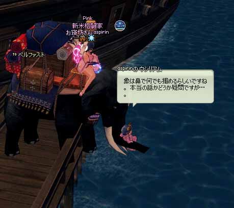 象は鼻で何でも掴めるらしいですね。
