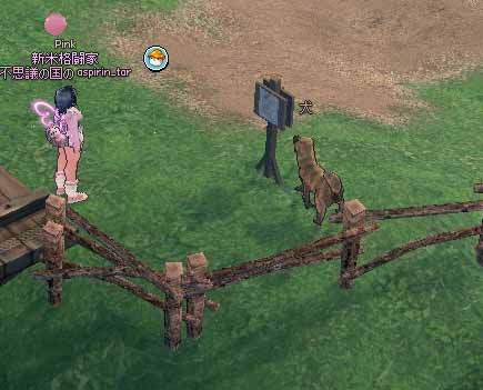 ティルコネイルの犬者ちゃん