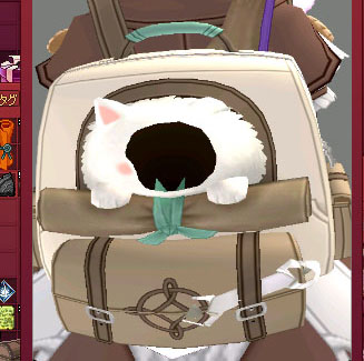 近いｗ