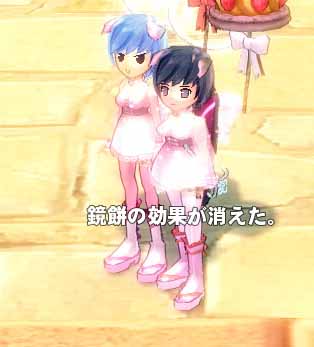 鏡餅と間違えた