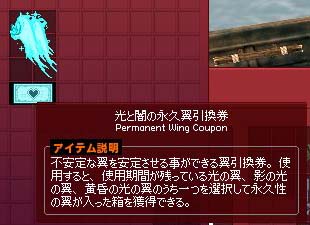 光と闇の永久翼引換券