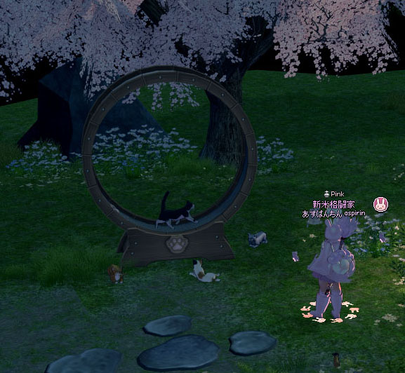 苦労して完成したキャットホイールだ