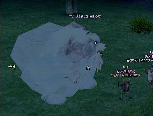白ヒグマ