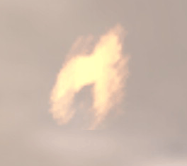 フェニックス