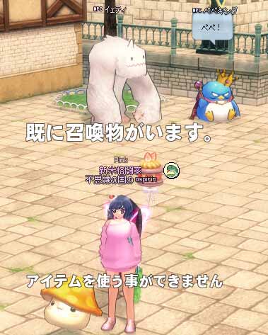 既に召喚物がいます。