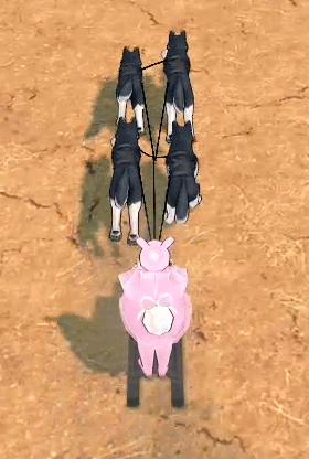犬ゾリ普通