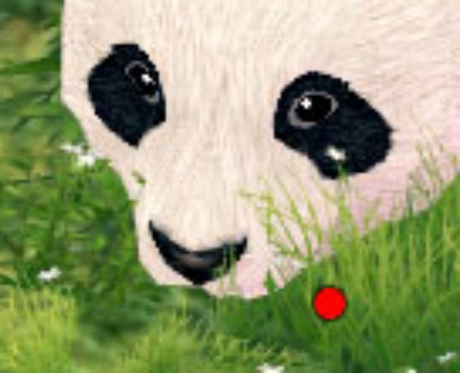 泣いてるｗ