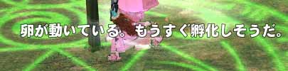 孵化しそうだ