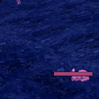 突然変異したウサギ